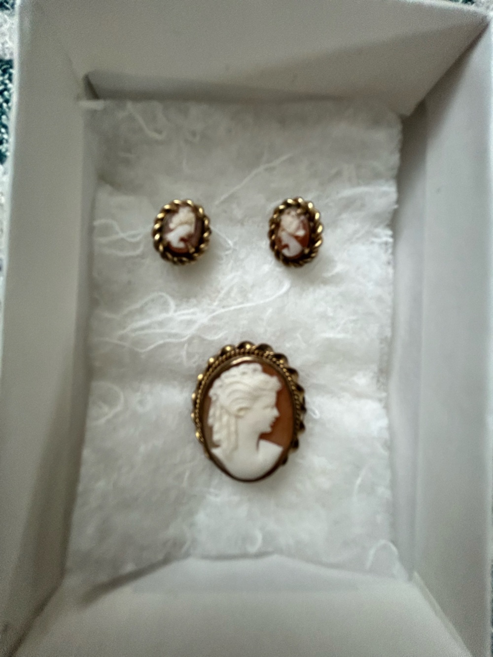 Vintage-Style Brown and White Cameo Brooch and Earrings Set
